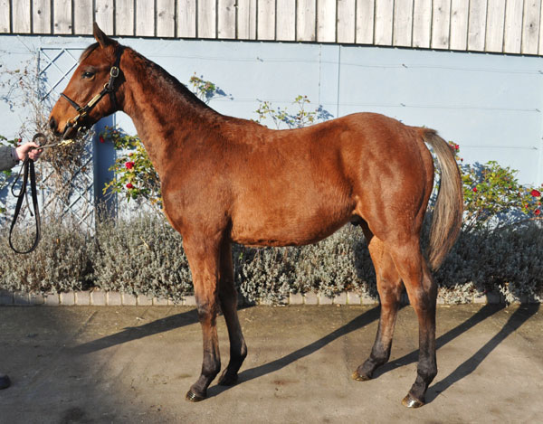 lot 228